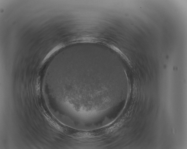 X0000085251450200703091246