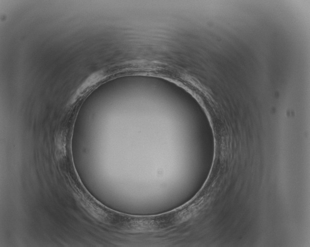 X0000085251451200703091246