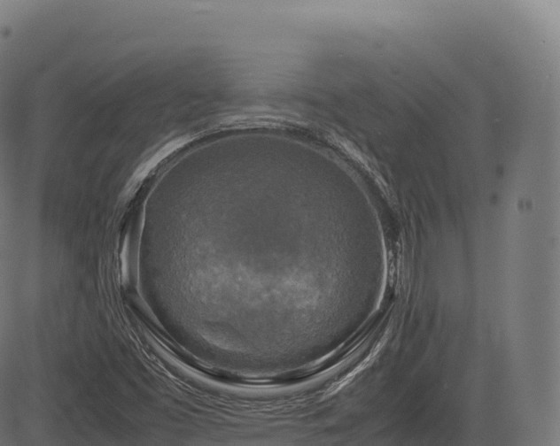 X0000085251453200703091246