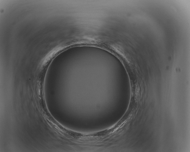 X0000085251455200703091246