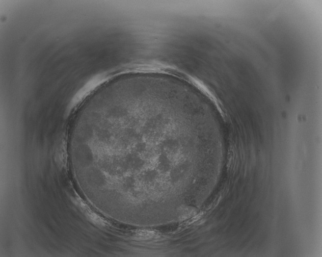 X0000085251456200703091246