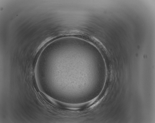 X0000085251457200703091246