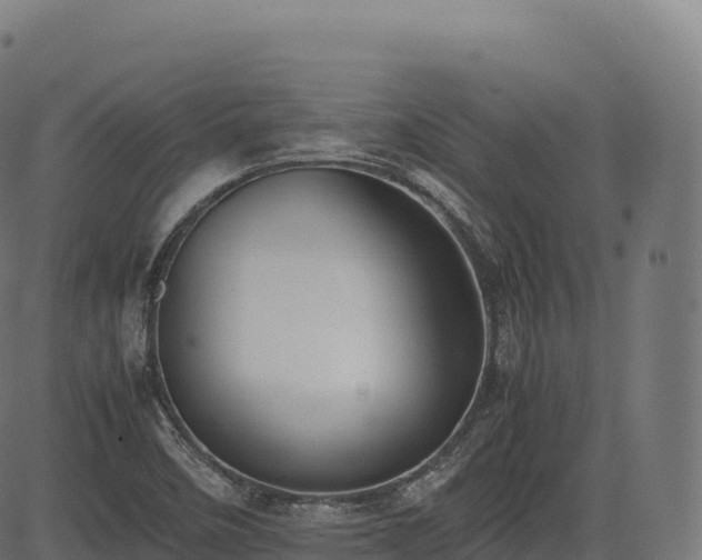 X0000085251458200703091246