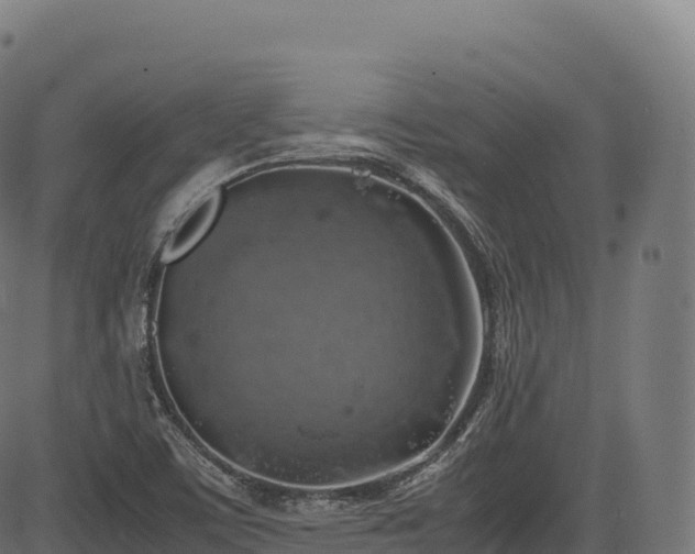 X0000085251459200703091245