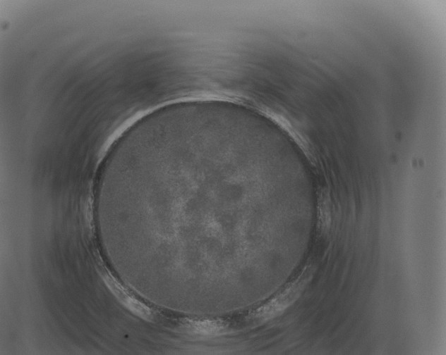 X0000085251460200703091245