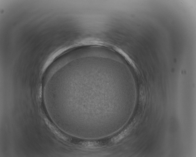 X0000085251461200703091245