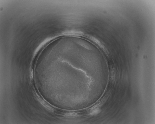 X0000085251462200703091245