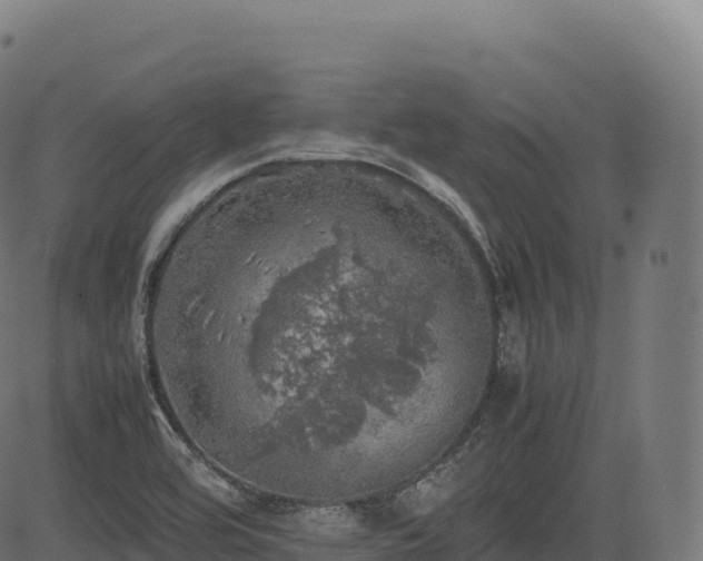 X0000085251464200703091245