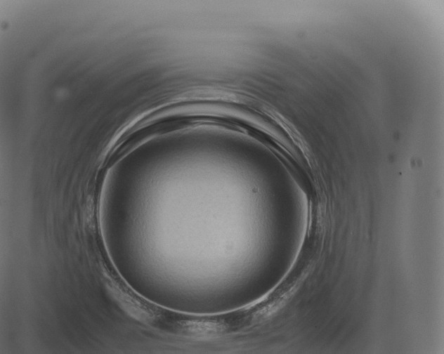 X0000085251465200703091245