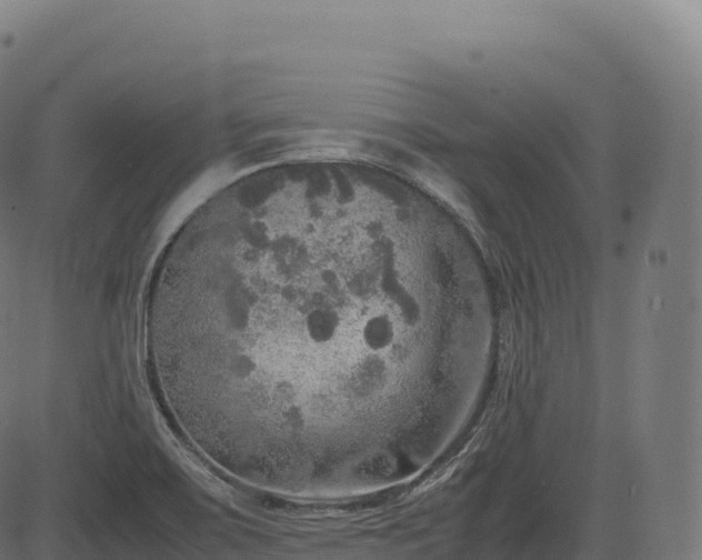 X0000085251467200703091245