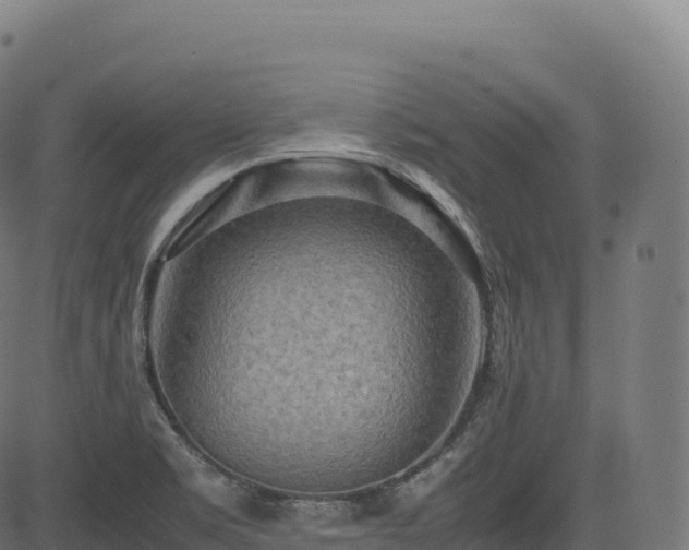 X0000085251469200703091245