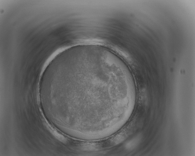 X0000085251470200703091245