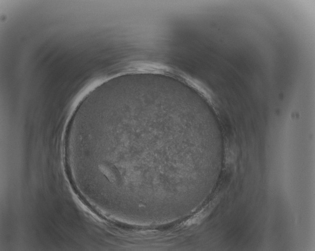 X0000085251471200703091245