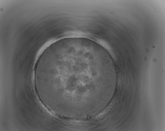 X0000085251472200703091245