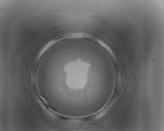 X0000085251473200703091245