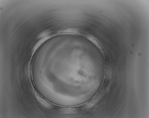 X0000085251474200703091245