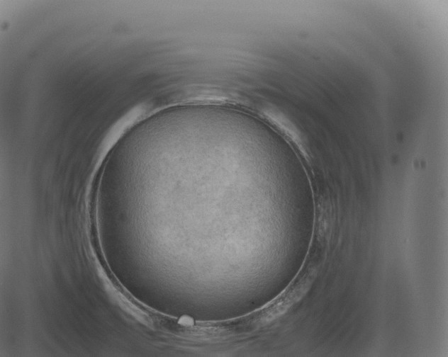 X0000085251475200703091245