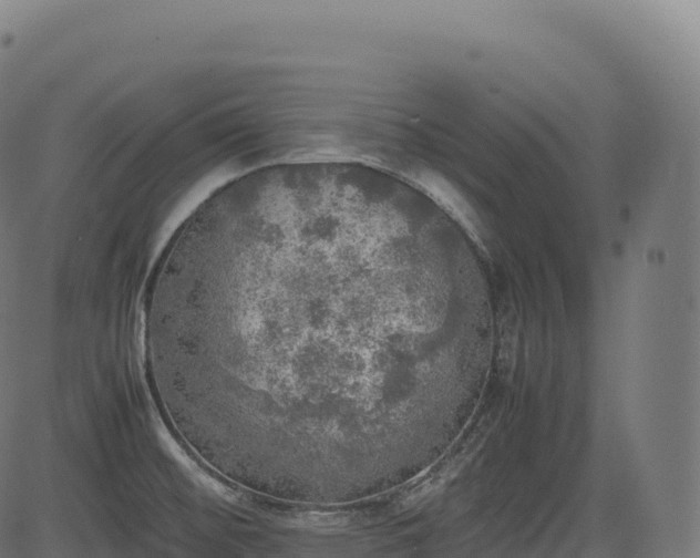 X0000085251476200703091245