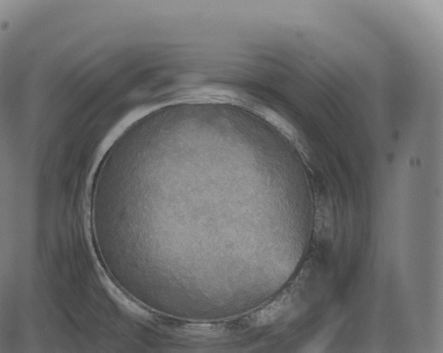 X0000085251478200703091245