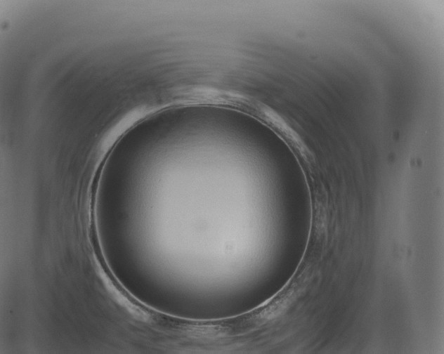 X0000085251479200703091245