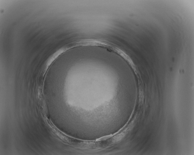 X0000085251481200703091245