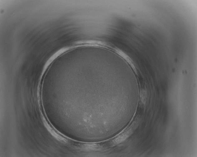 X0000085251482200703091245