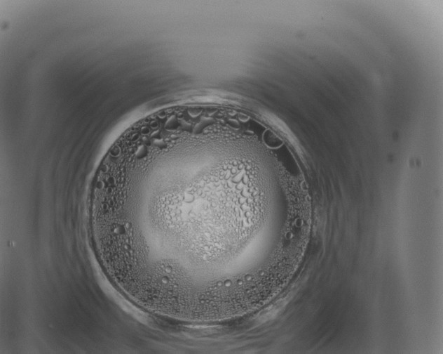 X0000085251483200703091245