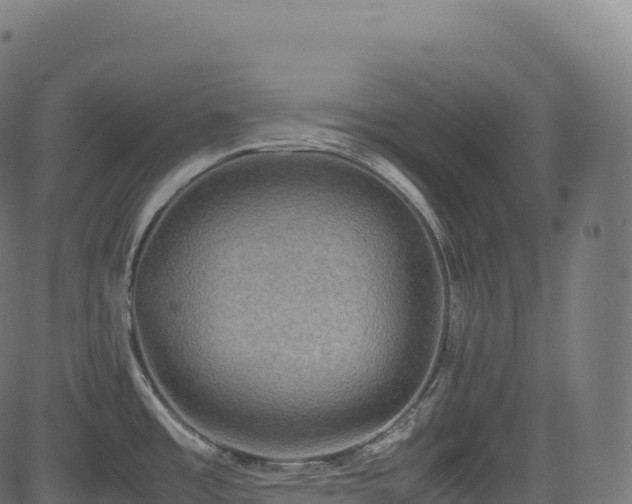 X0000085251485200703091245