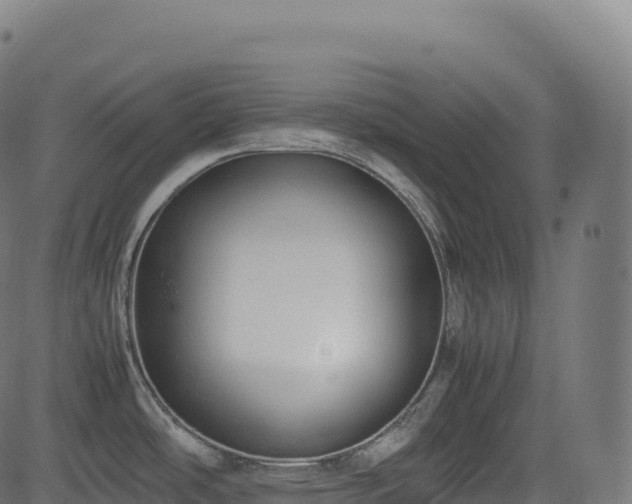 X0000085251486200703091245