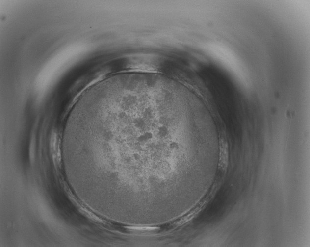 X0000085251487200703091245