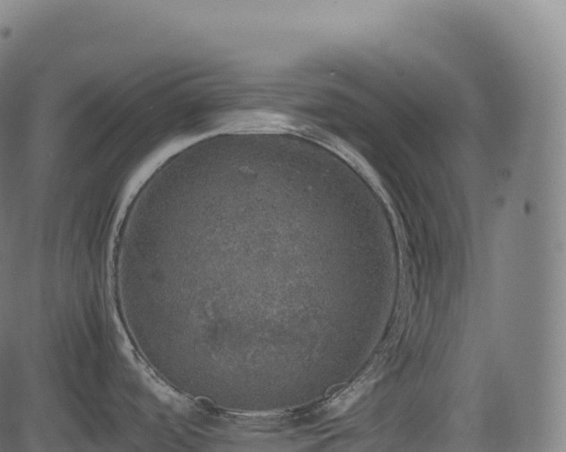 X0000085251488200703091245