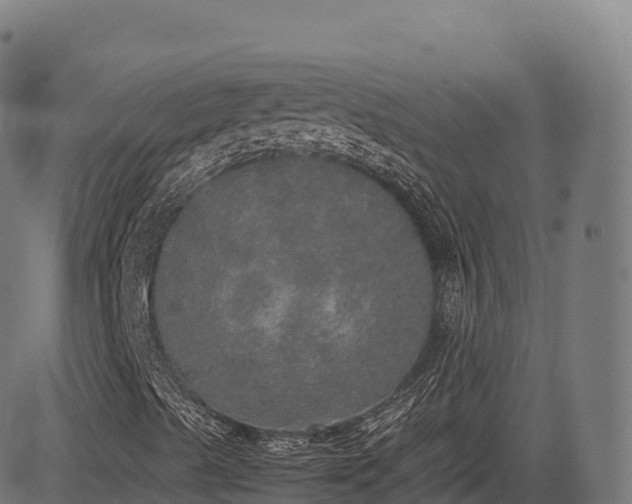 X0000085251489200703091244