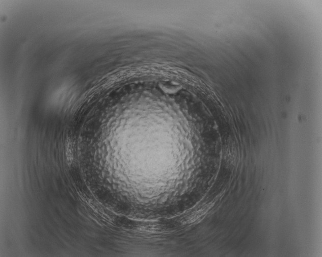 X0000085251490200703091244