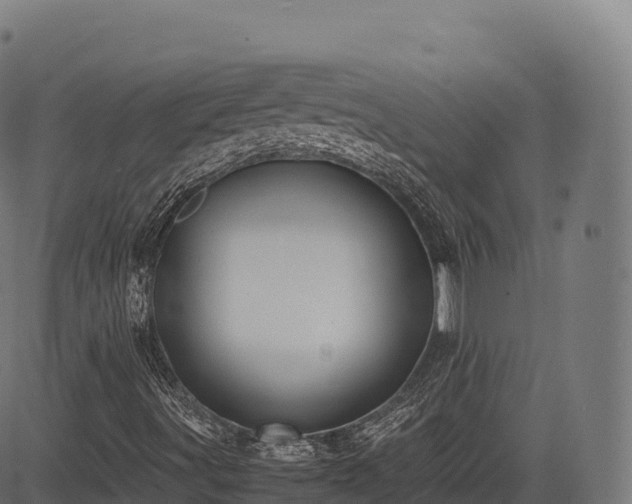 X0000085251491200703091244