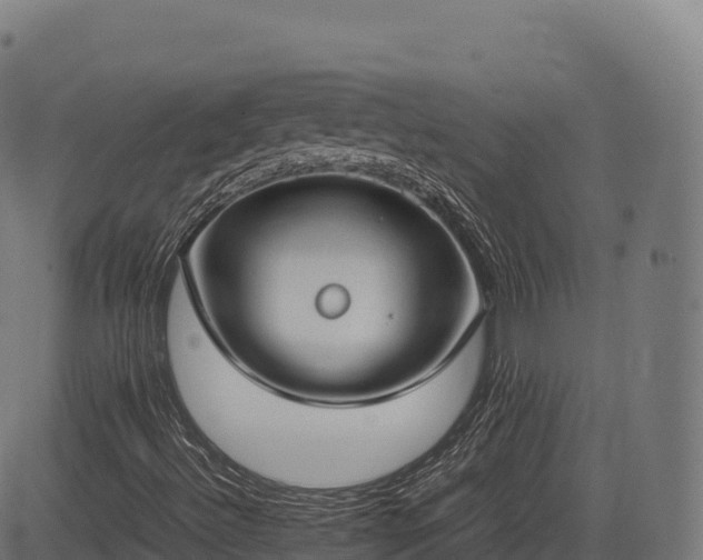 X0000085251492200703091244