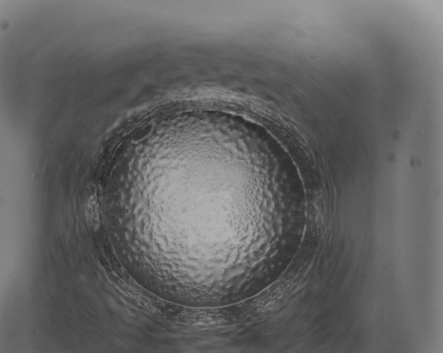 X0000085251493200703091244