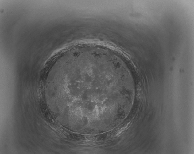 X0000085251494200703091244