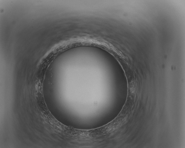 X0000085251495200703091244