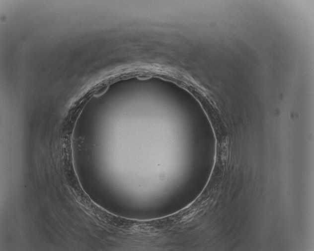 X0000085251496200703091244