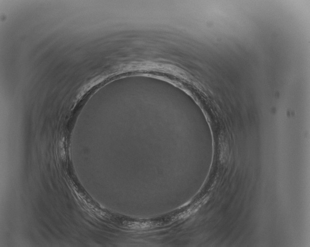 X0000085251497200703091244