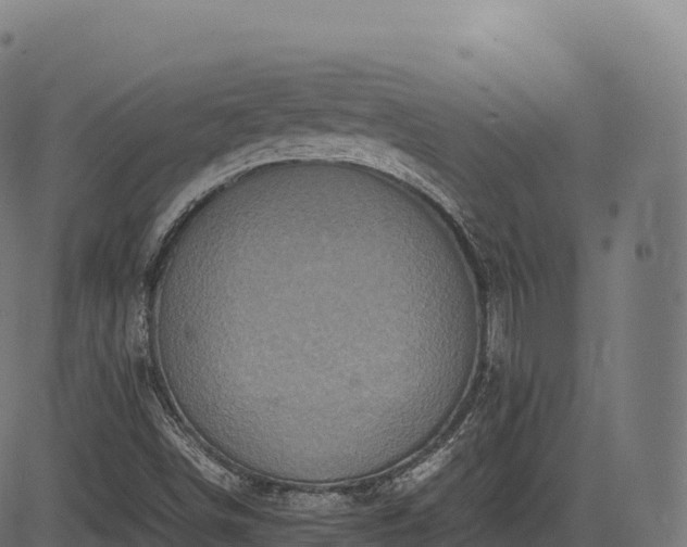 X0000085251498200703091244