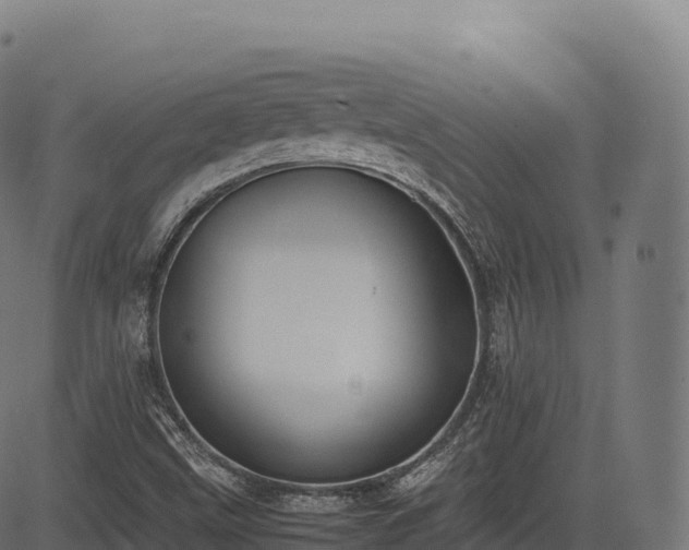 X0000085251499200703091244