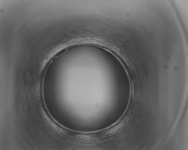 X0000085251500200703091244