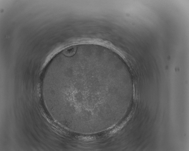 X0000085251501200703091244