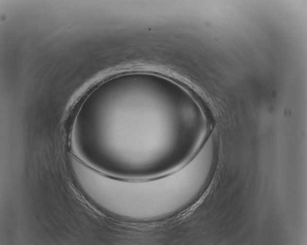 X0000085251502200703091244