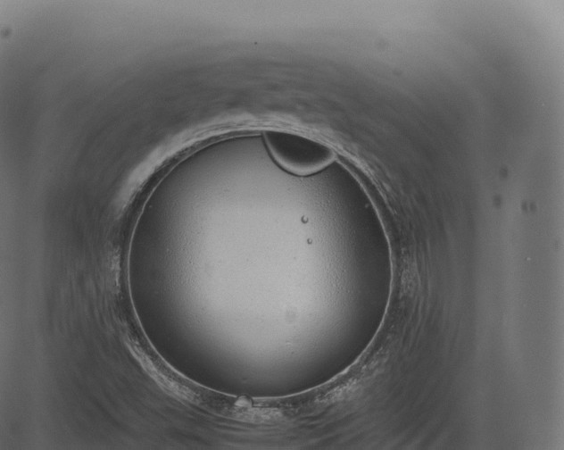 X0000085251503200703091244