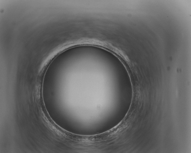 X0000085251504200703091244