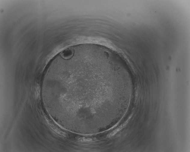 X0000085251505200703091244