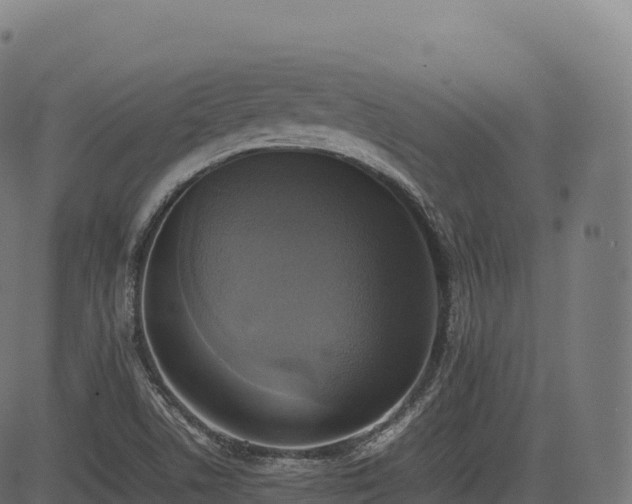 X0000085251506200703091244