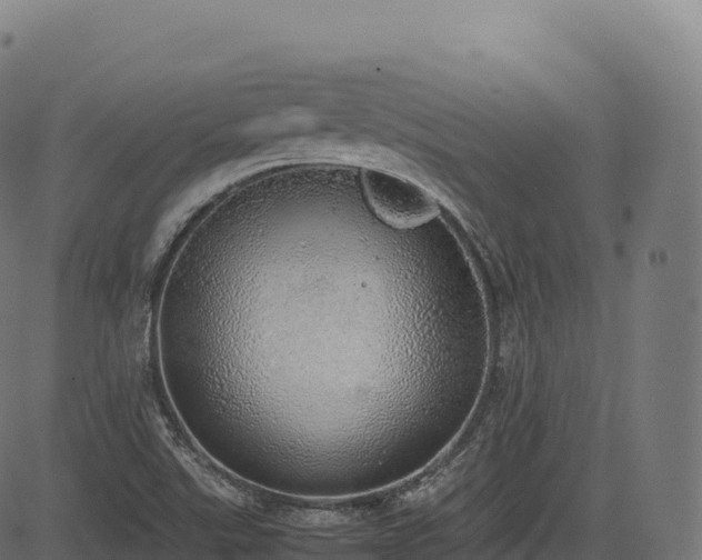 X0000085251507200703091245